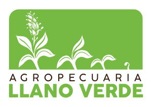 logo2.png
